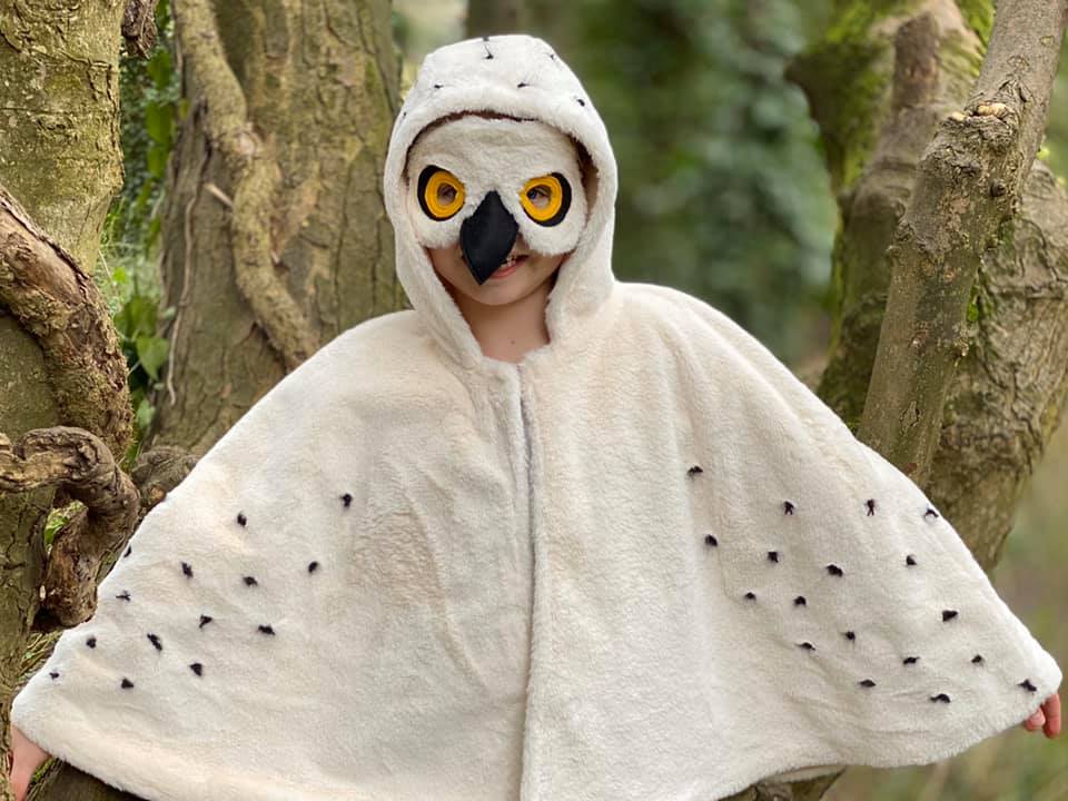 Waves and Wild Storybook Cape child owl costume