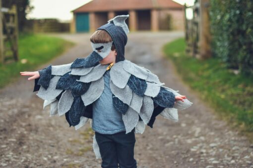 Waves and Wild Storybook Cape Go Away Bird